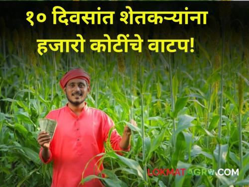 agriculture Thousands of crores of funds approved for farmers in 15 days! 7000 crore allocation in just 3 days | १५ दिवसांत शेतकऱ्यांसाठी हजारो कोटींचा निधी मंजूर! केवळ ३ दिवसांत ७ हजार कोटी वाटप