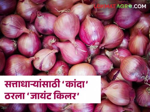 loksabha election 2024 onion farmer bjp voting opposition party leading farmers issue | लोकसभा निवडणुकीत 'कांदा' ठरला 'जायंट किलर'! विरोधकांचा ८ तर सत्ताधाऱ्यांचा केवळ एका जागेवर विजय | Loksabha Election and Onion