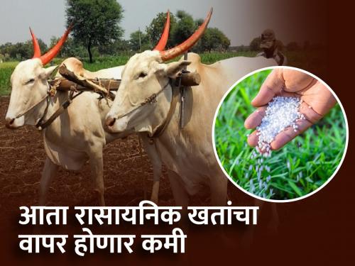 Farmers will now get information about which crop to sowing which time | शेतकऱ्यांना आता मिळणार कधी कोणते पीक घ्यावे याची माहिती