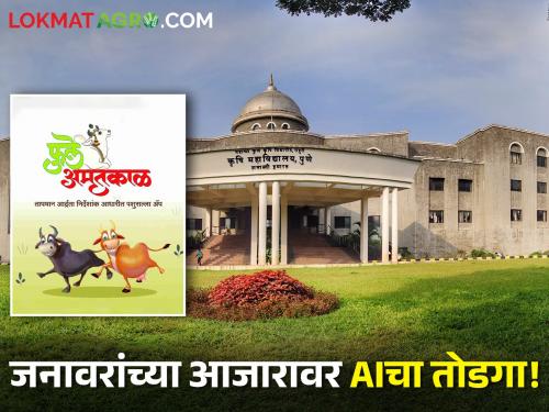 AI solution to animal diseases! Mahatma Phule Agricultural University developed 'Phule Amritkal App' | जनावरांच्या आजारावर AIचा तोडगा! महात्मा फुले कृषी विद्यापीठाने विकसित केले 'फुले अमृतकाळ ॲप'