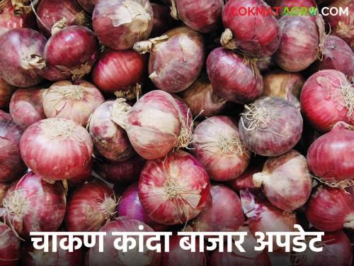 Kanda Bajar Bhav : In Chakan Market Committee, the market price of onion is increasing How is the price getting? | Kanda Bajar Bhav : चाकण बाजार समितीत आवक वाढूनदेखील कांदा खातोय भाव... कसा मिळतोय दर