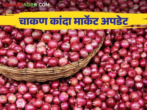 Kanda Bajar Bhav : Onion arrival is decrease, how did the price get in the Chakan market committee? | Kanda Bajar Bhav : कांदा आवक झाली कमी चाकण बाजार समितीत कसा मिळाला दर