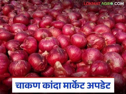 Kanda Bajar Bhav : Onion arrivals in Chakan market committee have decreased; What has improved the price? | Kanda Bajar Bhav : चाकण बाजारात समितीत कांदा आवक घटली; दरात काय सुधारणा झाली?