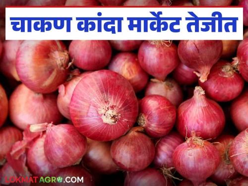 Kanda Bajar Bhav : Demand for onion from other states increased new onion market price increase | Kanda Bajar Bhav : परराज्यांतून कांद्याला मागणी वाढली नव्या कांद्याच्या बाजारभावात वाढ