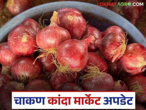 Kanda Bajar Bhav : Record arrival of onions in Chakan Market Committee; How are prices being obtained? | Kanda Bajar Bhav : चाकण बाजार समितीत कांद्याची विक्रमी आवक; कसा मिळतोय दर?