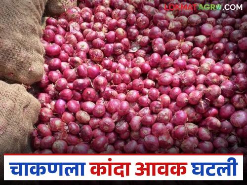 Kanda Market : Onion arrivals in Chakan Market Committee decreased; How did you get the price? | Kanda Market : चाकण बाजार समितीत कांद्याची आवक घटली; कसा मिळाला दर?