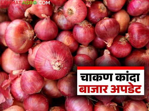 Kanda Bajar Bhav : Large arrival of onions in Chakan Market Committee: How are prices being obtained? | Kanda Bajar Bhav : चाकण बाजार समितीत कांद्याची मोठी आवक: कसा मिळतोय दर?