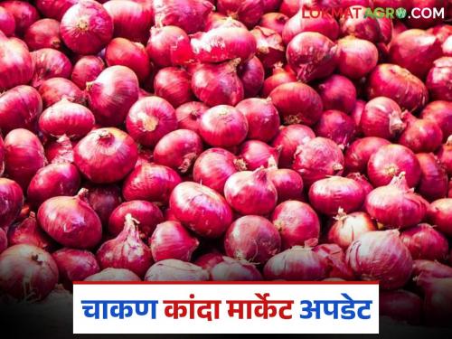 Kanda Bajar Bhav : Onion price increase in Chakan Market Committee; How did the price get determined? | Kanda Bajar Bhav : चाकण बाजार समितीत कांद्याच्या दरात वाढ; कसा मिळाला दर?