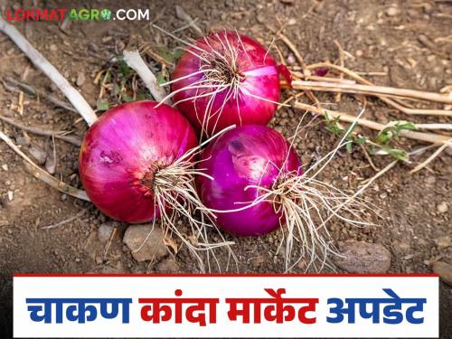 Kanda Batata Market : Large arrival of onions and potatoes in Chakan Market Committee; How are prices being obtained? | Kanda Batata Market : चाकण बाजार समितीत कांदा व बटाट्याची मोठी आवक; कसा मिळतोय दर?