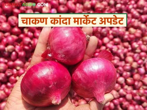 Kanda Batata Market : Arrival of onions and potatoes has increased in Chakan Market Committee; How are prices being obtained? | Kanda Batata Market : चाकण बाजार समितीत कांदा, बटाट्याची आवक वाढली; कसा मिळतोय दर?