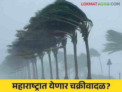 Maharashtra Weather Update : Cyclone crisis again over Maharashtra; What is the prognosis of IMD? | Maharashtra Weather Update : महाराष्ट्रावर पुन्हा चक्रीवादळाचे संकट; काय आहे IMD चा अंदाज?