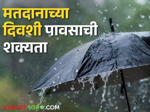 Latest news Chance of unseasonal rain from today for next week check forecast | Weather Update : अजुन किती दिवस आहे हा अवकाळी? वाचा संपूर्ण बातमी एका क्लीकवर 