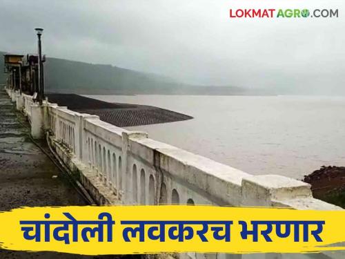 Chandoli dam catchment area heavy rain, how much water come in dam? | चांदोली धरण पाणलोट क्षेत्रात अतिवृष्टी जाणून घ्या धरणाचा पाणीसाठा