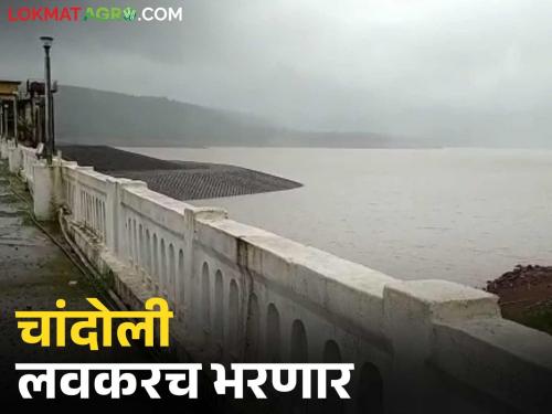Chandoli Dam catchment area receives double the rainfall compared to last year; Automatic gates to open soon | चांदोली धरणाच्या पाणलोट क्षेत्रात गतवर्षीपेक्षा दुप्पट पाऊस; लवकरच स्वयंचलित दरवाजे उघडणार