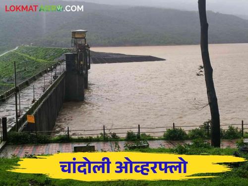 Chandoli Dam Water: All four gates were opened to constant the water level of Chandoli Dam | Chandoli Dam Water : चांदोली धरणाची पाणी पातळी नियंत्रित ठेवण्यासाठी चारही दरवाजे घडले