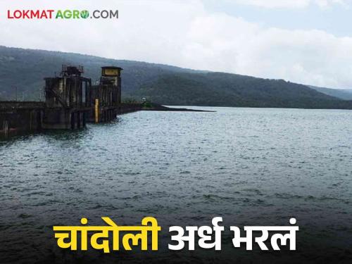 Heavy rain continues in Shirala taluka; Chandoli Dam is 50 percent full | Dam Water: शिराळा तालुक्यात पावसाचा जोर कायम; हे मोठे धरण ५० टक्के भरले