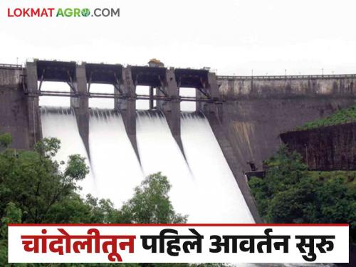 Chandoli Dam : First water circulation for Rabi season started from Chandoli Dam as per demand of farmers | Chandoli Dam : शेतकऱ्यांच्या मागणीनुसार चांदोली धरणातून रब्बी हंगामासाठी पहिले आवर्तन सुरू