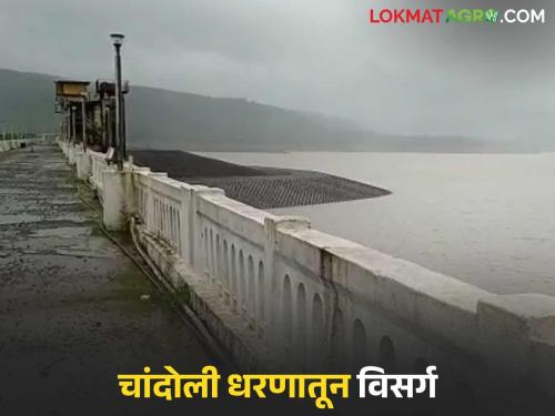 Heavy rainfall in Chandoli Dam catchment area; 776 cusecs of water released into the riverbed | चांदोली धरण पाणलोट क्षेत्रात अतिवृष्टी; ७७६ क्युसेक पाण्याचा नदीपात्रात विसर्ग सुरू