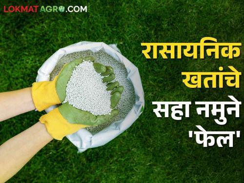 88 samples of seeds 'pass' in inspection while report of six samples of chemical fertilizer 'fail' | बियाणाचे ८८ नमुने तपासणीत 'पास' तर रासायनिक खताच्या सहा नमुन्यांचा अहवाल 'फेल'