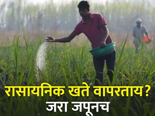 Avoid bombardment of chemical fertilizers for more crop production | अधिक पिक उत्पादनासाठी रासायनिक खतांचा भडिमार टाळा