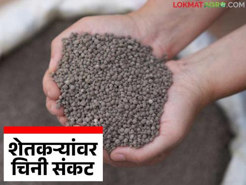 Chinese crisis on Indian farmers; China stops supply of urea and DAP fertilizers | भारतीय शेतकऱ्यांवर चिनी संकट; चीनने युरिया व डीएपी खतांचा पुरवठा रोखला