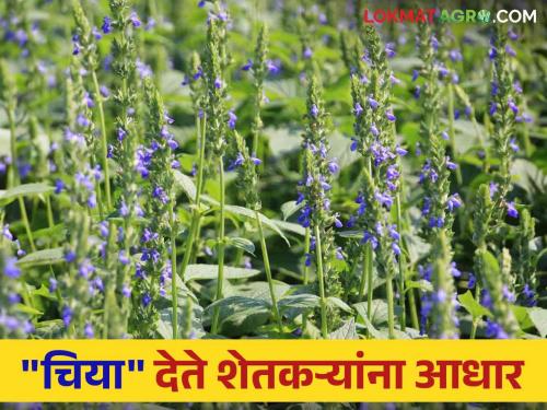 Spending on 200 crores for the development of agriculture and farmers in the district! | जिल्ह्यात शेती अन् शेतकऱ्यांच्या उन्नतीसाठी २०० कोटींवर खर्च !