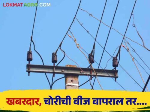 Latest News Agriculture News light is left in agricultural area, action will be taken by Mahavitran | Agriculture News : वीज चोरी करून शेतीच्या कुंपणात वीज प्रवाह सोडल्यास कारवाई, महावितरणचा इशारा 