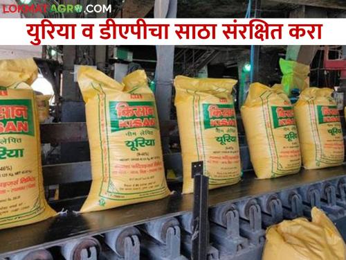 Instructions for conservation of stock of Urea and DAP fertilizers to avoid possible shortage | संभाव्य तूटवडा टाळण्यासाठी युरिया व डिएपी खतांचा साठा संरक्षित करण्याच्या सूचना