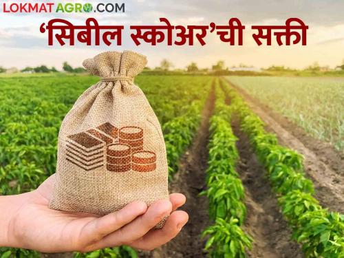 Pik Karj: Farmers will now get crop loan without 'CIBIL' | Pik Karj शेतकऱ्यांना मिळणार आता 'सिबील' शिवाय पीककर्ज