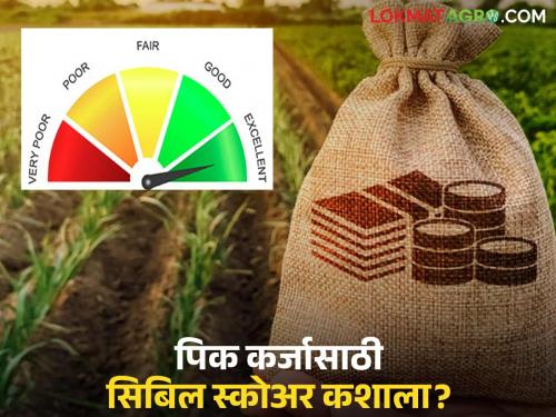 Is CIBIL score really necessary while giving loans to farmers? Know in detail | शेतकऱ्यांना कर्ज देताना खरच सिबिल स्कोअरची गरज आहे का? जाणून घ्या सविस्तर