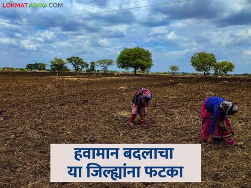 These districts in the state are at risk of continuous drought, irregular rains, and heat waves; Read in detail | राज्यात या जिल्ह्यांमध्ये सातत्याने दुष्काळ, अनियमित पाऊस, उष्णतेच्या लाटांचा धोका; वाचा सविस्तर