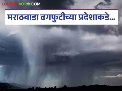 latest news Monsoon Effect: Monsoon pattern has changed; Daytime evaporation, nighttime rain havoc Read in detail | Monsoon Effect : मान्सून पॅटर्न बदलला; दिवसाचं बाष्पीभवन, रात्रीचा पावसाचा कहर वाचा सविस्तर