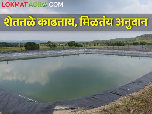 Subsidy for digging of farm pond under Chief Minister's Sustainable Irrigation Scheme, where to apply? | मुख्यमंत्री शाश्वत सिंचन योजनेंतर्गत शेततळे काढण्यासाठी अनुदान, कुठे कराल अर्ज?