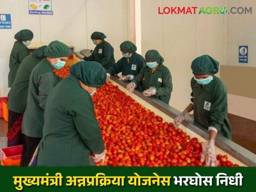 To implement the Chief Minister Agriculture and Food Processing Scheme in the year 2024-25 Rs. Demand of 7500.00 lakhs | CM food processing scheme मुख्यमंत्री कृषि व अन्न प्रक्रिया योजना सन २०२४-२५ मध्ये राबविण्यास रू. ७५००.०० लाखाची मान्यता