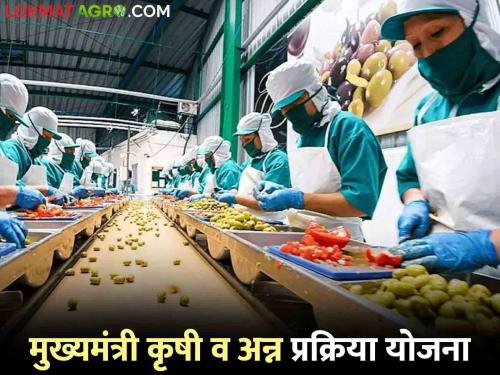 This scheme of the government provides subsidies to increase the price of agricultural produce by processing it. Read more | शेतमालावर प्रक्रिया करून त्याची किंमत वाढविण्यासाठी शासनाची ही योजना देतेय अनुदान वाचा सविस्तर