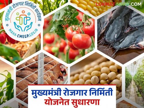 Amendments in the Chief Minister's Employment Generation Scheme; Now loans ranging from Rs 50 lakh to Rs 1 crore will be available for agricultural businesses | आता कृषीपूरक व्यवसायांसाठी या योजनेतून मिळणार ५० लाख ते १ कोटीपर्यंत कर्ज; वाचा सविस्तर