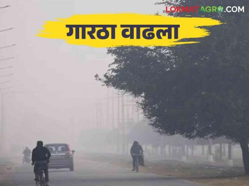 Maharashtra Weather Update : In the severe cold weather in the state rain can be predicted from tomorrow | Maharashtra Weather Update : राज्यात थंडीच्या कडाक्यात आता उद्यापासून पावसाचाही अंदाज कुठे पडू शकतो पाऊस