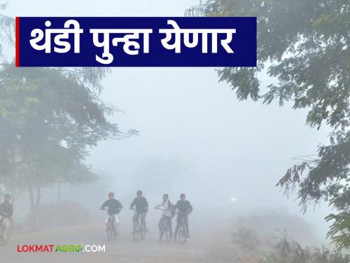 Maharashtra Weather Update : Due to northerly wind, cold will intensify again; How is the winter forecast? | Maharashtra Weather Update : उत्तरेकडून वाहणाऱ्या वाऱ्यामुळे थंडी पुन्हा जोर धरणार; कसा असेल थंडीचा अंदाज