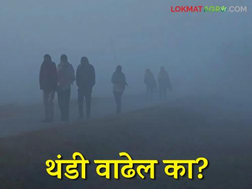 Weather Update Maharashtra : Minimum temperature is decreasing; Will the cold spell increase? | Weather Update Maharashtra : किमान तापमानात होतेय घट; थंडीचा मुक्काम वाढणार का?