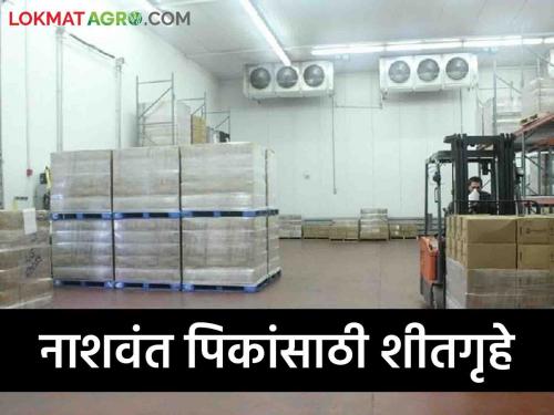 Latest News Agriculture News Various schemes for cold storage from central government, know in detail  | Agriculture News : केंद्र शासनाकडून कोल्ड स्टोरेजसाठी विविध योजना, जाणून घ्या सविस्तर 