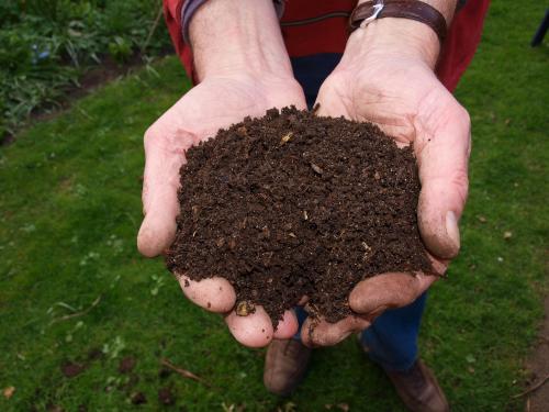 Know this simple method of making compost twice in a year | वर्षातून दोनदा कंपोस्ट खत करण्याची ही सोपी पद्धत माहीत आहे ?