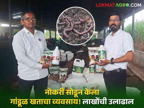 VermiCompost Success Story : Vermicompost business out of a job! The success story of Pune's largest vermicomposting project | VermiCompost Success Story : नोकरी सोडून गांडूळ खताच्या व्यवसाय! पुण्यातील सर्वांत मोठ्या गांडूळ खत प्रकल्पाची यशोगाथा