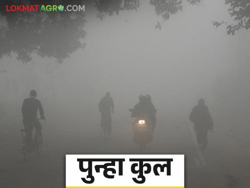 Maharashtra Weather Update : Due to strong winds blowing from the west, cold weather is expected in the state | Maharashtra Weather Update : पश्चिमेकडून वाहणाऱ्या जोरदार वाऱ्यांमुळे राज्यात थंडी वाढण्याचा अंदाज