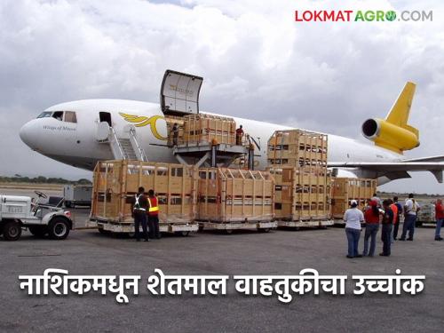 Latest News Record 1146 million tonnes of agricultural produce exported from Nashik in single month, read in detail | Nashik Cargo service : नाशिकहून एकाच महिन्यात 1146 मे. टन विक्रमी शेतमालाची निर्यात, वाचा सविस्तर 