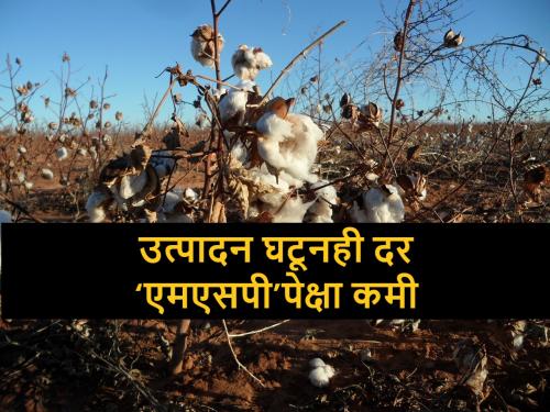 Abolish 11 percent import duty on cotton, pressure from textile lobby to lower cotton market rate | कापूस दर पाडण्यासाठी टेक्सटाईल लॉबी सक्रीय; आयात शुल्क रद्दची मागणी