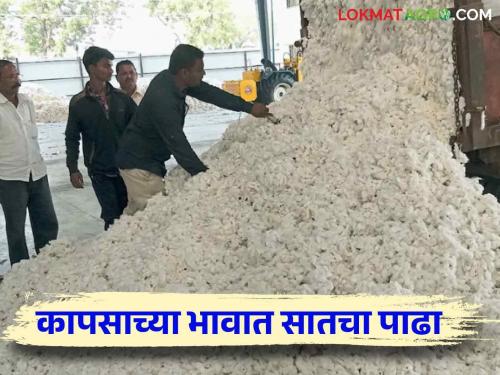 Cotton market : Cotton Market price not changed in last 12 years | Cotton market : कापसाचा दर १२ वर्षांपासून इतक्या हजारांवरच स्थिरावले...!