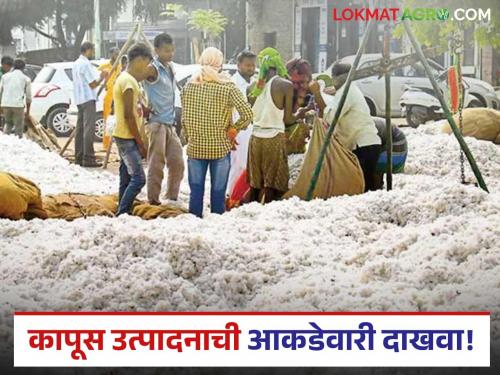 latest news CCI In High Court: How many quintals of cotton in the state in three years? Direct question from the High Court | CCI In High Court : राज्यात तीन वर्षांत किती क्विंटल कापूस? हायकोर्टाची थेट विचारणा