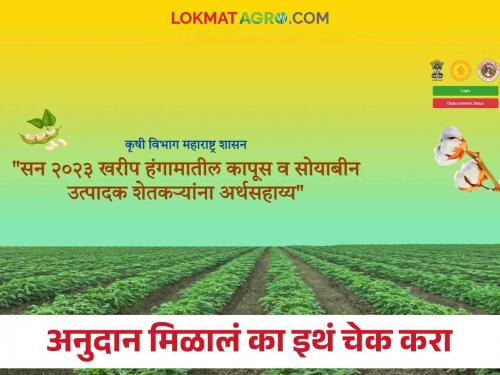 Did you get 5000 thousand of cotton and soybean crops? Check online on your mobile | Cotton Subsidy : कापूस व सोयाबीन पिकांचे ०५ हजार मिळाले का? ऑनलाईन चेक करा तुमच्या मोबाईलवर