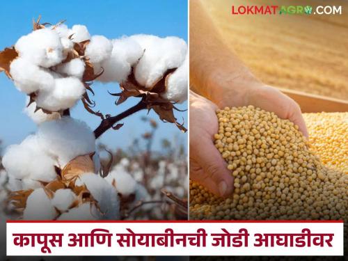 Kharif Sowing : Sowing has been completed in 74% of the area in the state; soybean and cotton dominate! | Kharif Sowing : राज्यात ७४ टक्के क्षेत्रात पेरण्या पूर्ण; सोयाबीन, कापसाचे वर्चस्व वाचा सविस्तर