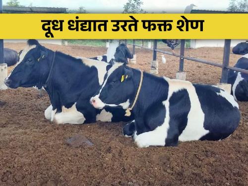 livestock should be produced which produce a lot of milk | भरपूर दूध उत्पादन देणारी जनावरे निर्माण करायला हवी